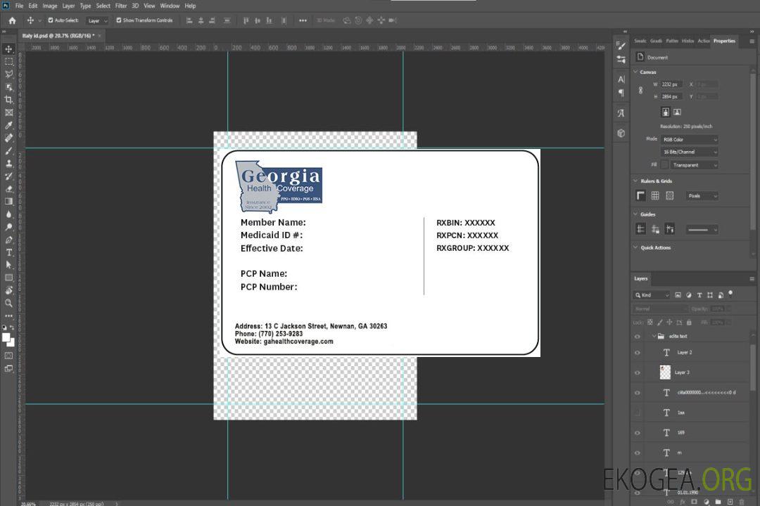 Carte d'assurance maladie de Géorgie template